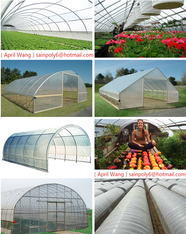 High Quality Plastic-Film Greenhouse for Flowers
