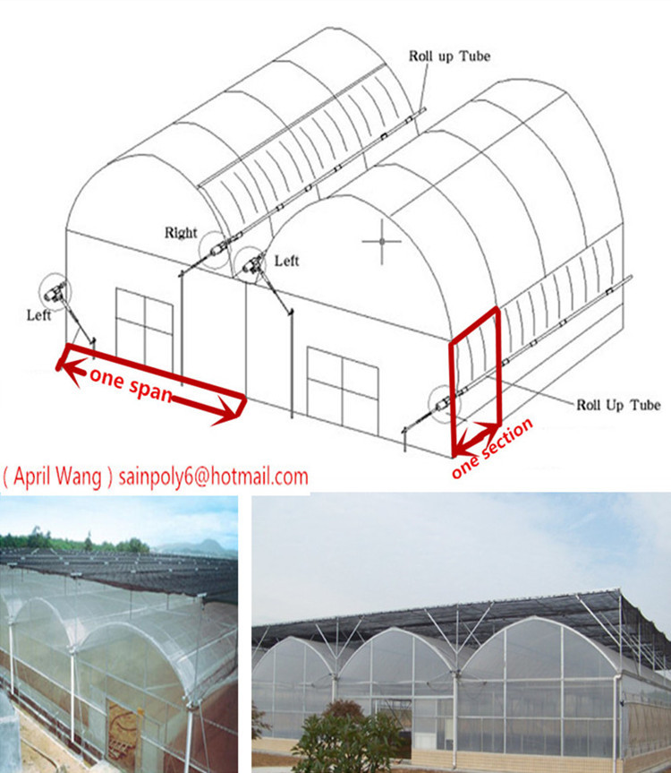 Hot Sale Plastic-Film Greenhouse for Flowers