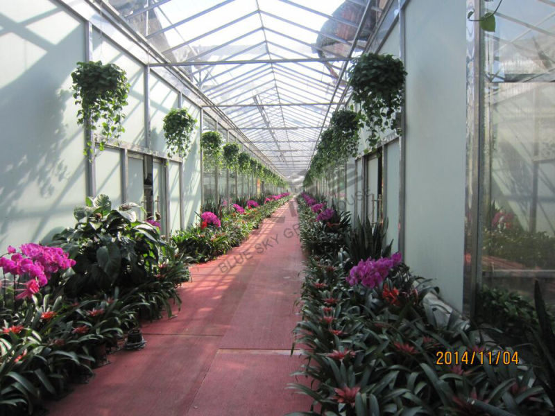 Venlo Structure Glass Green House