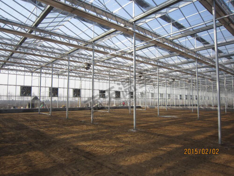 Hollow Glass Greenhouse for Agricultural Planting