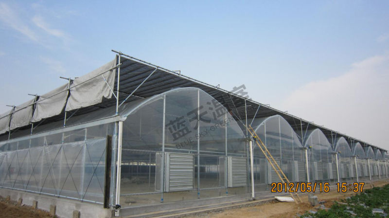 Po Film Greenhouse with Seeding Bed