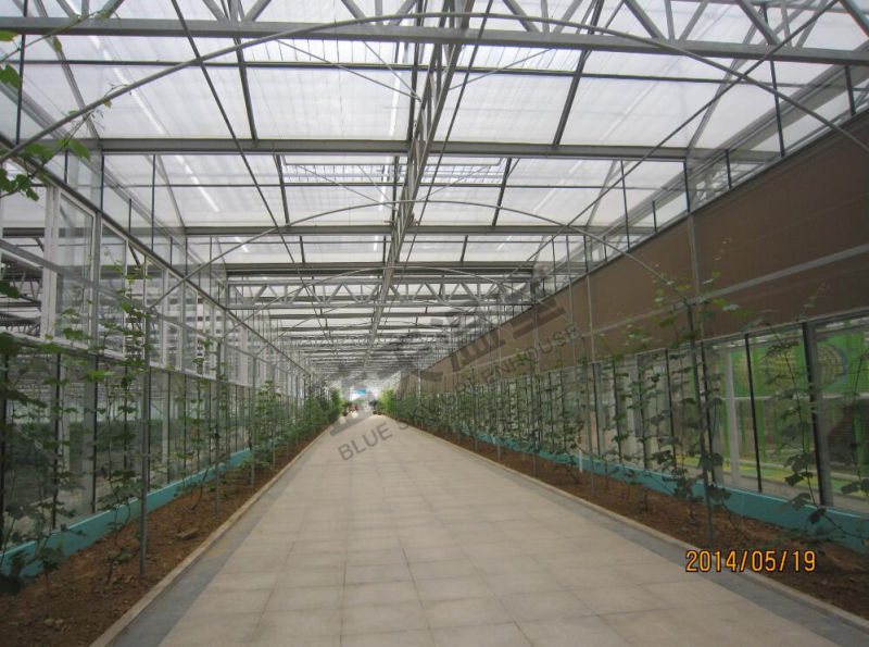 Popular Glass Picking Garden Greenhouse
