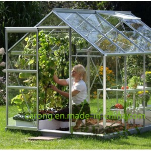 Small Conservatory Shed Greenhouse for Plants