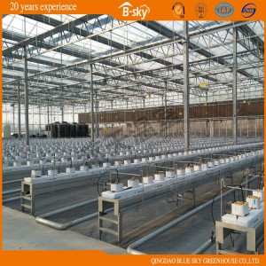 Venlo Type Multi-Span Glass Greenhouse