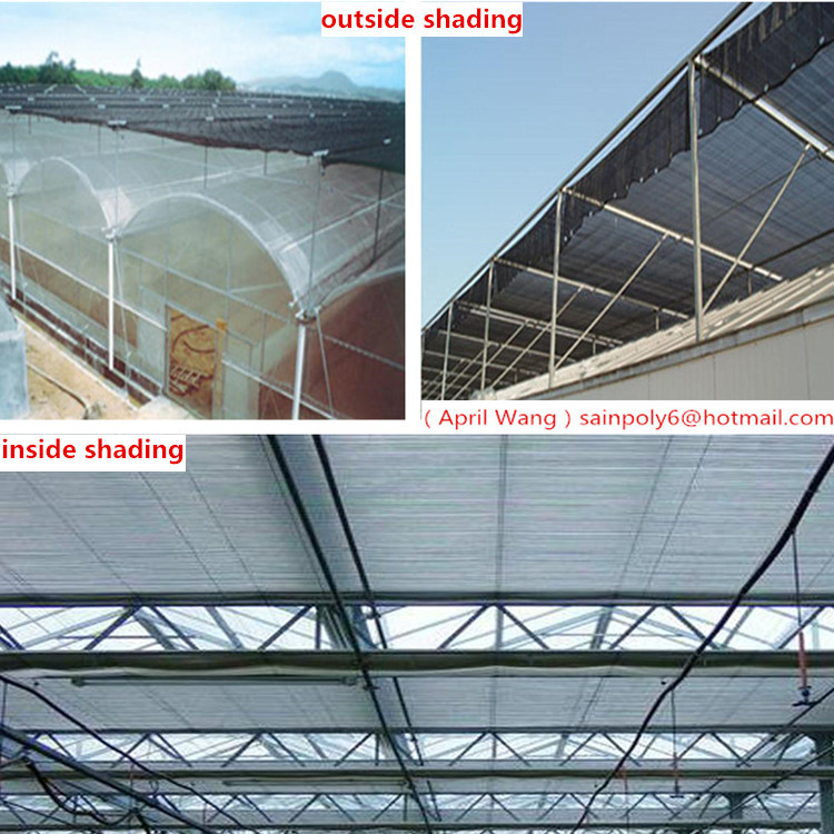 High Quality Plastic-Film Greenhouse Used