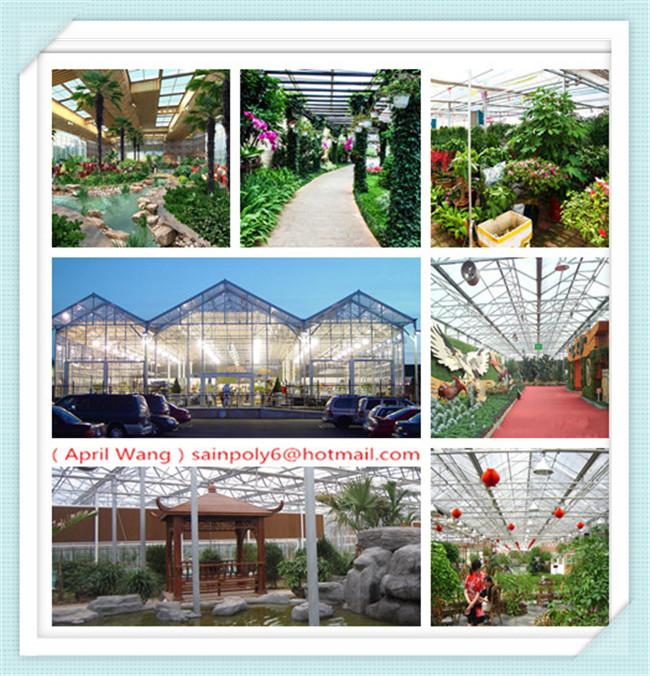 Wholesale PC Sheet Multi-Span Venlo Greenhouse for Hydroponic