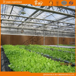 Multi-Span Venlo Type Glass Greenhouse for Planting Fruits&amp;Vegetables
