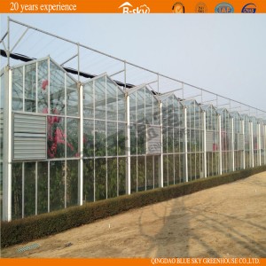 Popular Glass Picking Garden Greenhouse