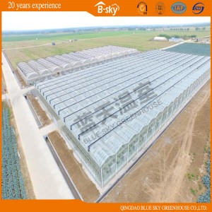 High Cost Performance Long Life Span Glass Greenhouse