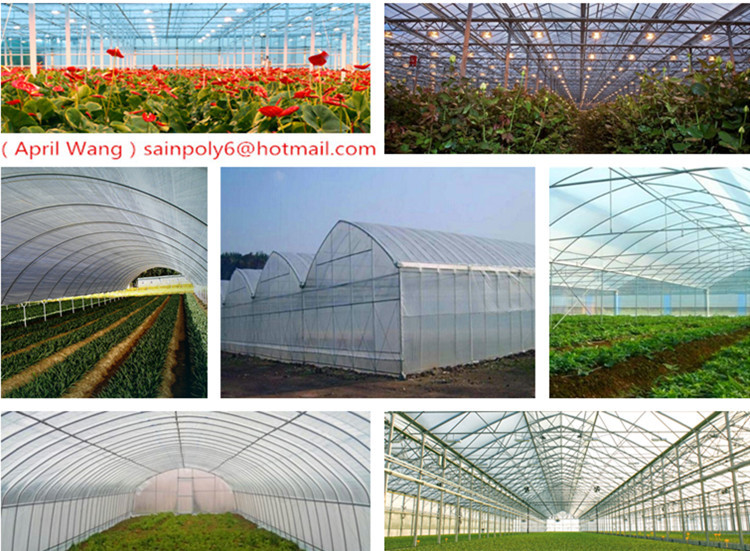 The Cheapest Multi-Span Plastic-Film Greenhouse for Agricultural