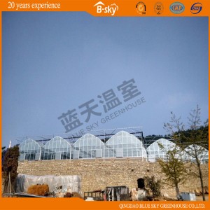 China Supplier F-Clean Multi-Span Film Greenhouse with Glass Wall