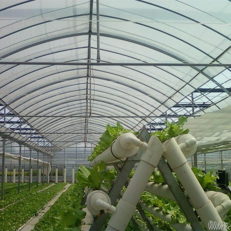 Multi-Span Gothic Film Greenhouse with PE Drop-Proof