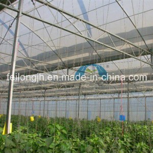 Multi-Span Gothic Film Greenhouse with PE Drop-Proof