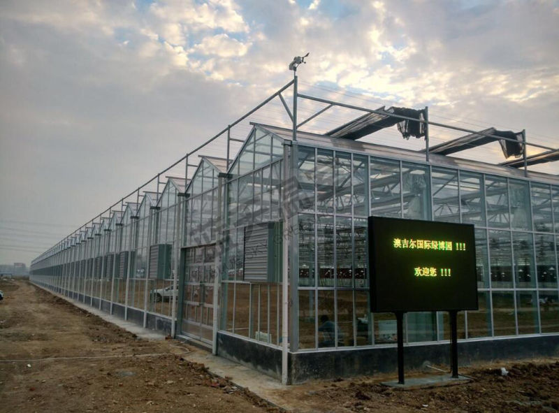 Beautiful Multi-Span Glass Green House with F-Clean Film Roof
