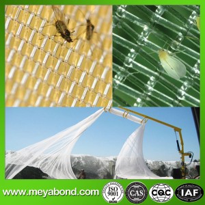 Virgin HDPE Anti Insect Net (50X25)