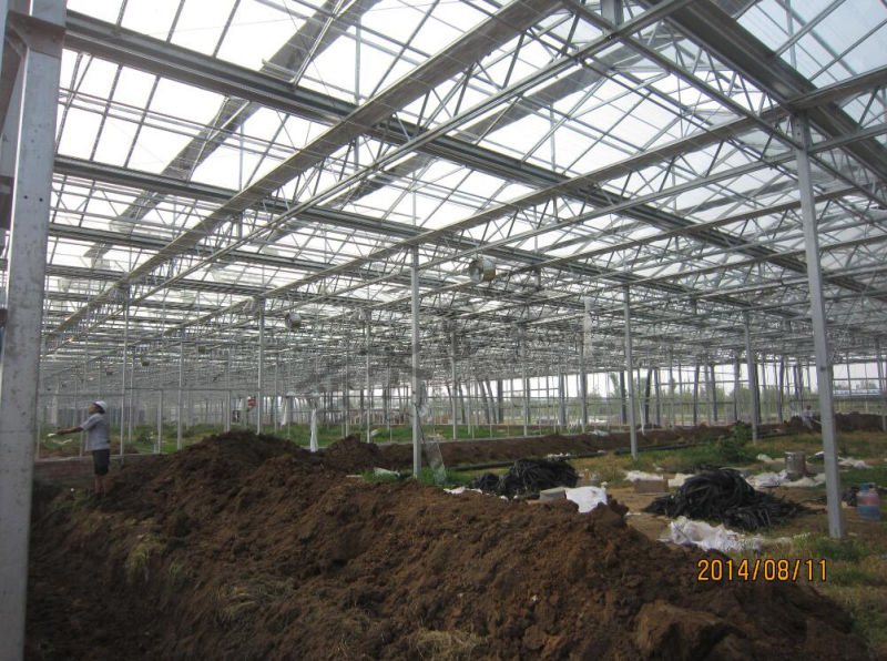 Multipurpose Beautiful Glass Greenhouse with Venlo Structure
