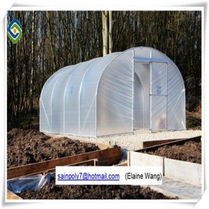 Hydroponic System China Factory Price Plastic Film Greenhouse for Growing Cucumber