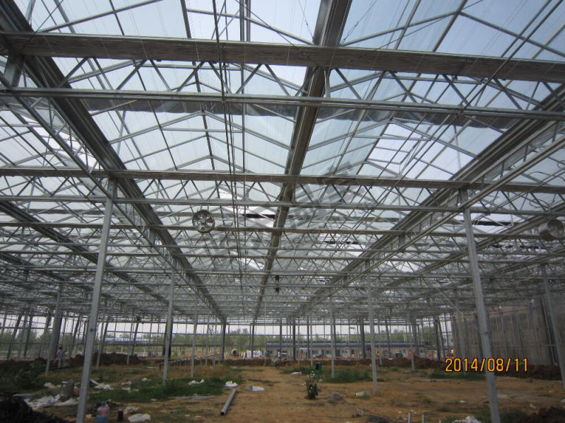 Multipurpose Beautiful Glass Greenhouse with Venlo Structure