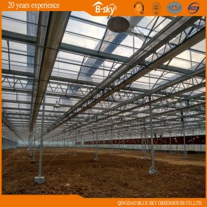 High Quality Multi-Span Glass Green House with F-Clean Film Roof