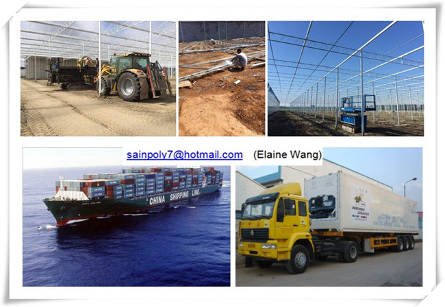 Multispan Hydroponic Film Green House for Strawberry