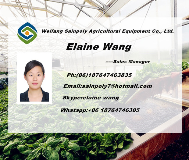 Multispan Hydroponic Film Green House for Strawberry