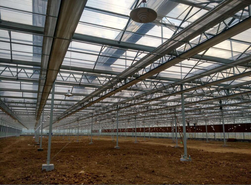Beautiful Multi-Span Glass Green House with F-Clean Film Roof