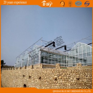 F-Clean Multi-Span Film Greenhouse with Glass Wall