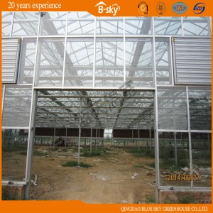 Long Life-Span Glass Green House for Agricultural Planting