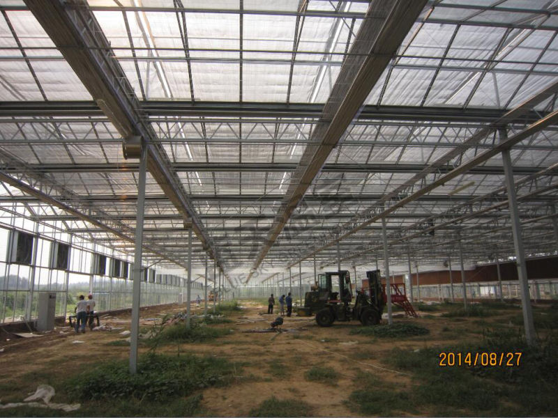 Long Life-Span Glass Greenhouse for Agricultural Planting