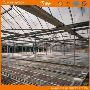 F-Clean Multi-Span Film Greenhouse with Glass Wall for Seeding