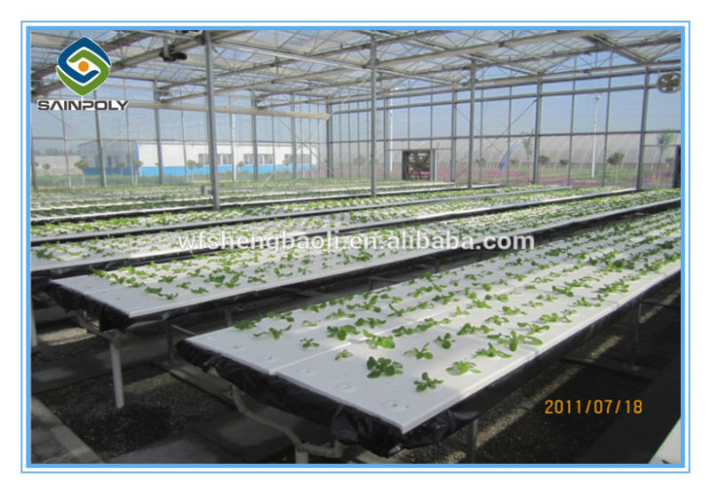 Low Cost High Quality Agricultural Used Hydroponic Greenhouse