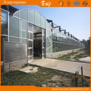 Long Life-Span Film Roof Glass Wall Greenhouse for Planting Vegetables