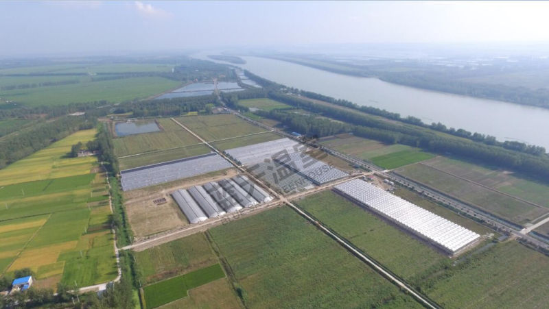 Good Appearance High Quality Glass Greenhouse for Planting