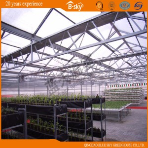 High Quality Polycarbonate Sheet Venlo Type Greenhouse