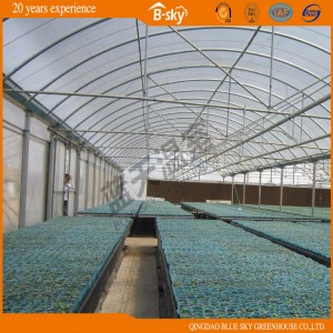 Beautiful Multi-Span Film Greenhouse for Seeding
