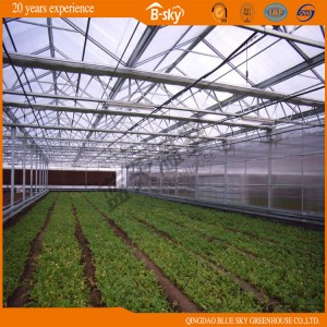 High Quality Polycarbonate Board Multi-Span Greenhouse