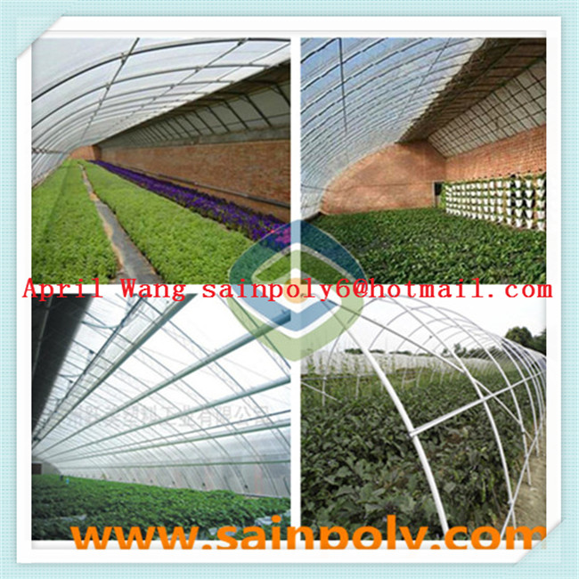 Low Price Solar Greenhouse for Sale