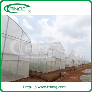 Hydroponic tunnel greenhouse for farm