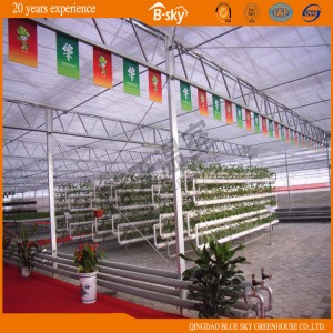 Polycarbonate Sheet Green House for Planting Vegetables