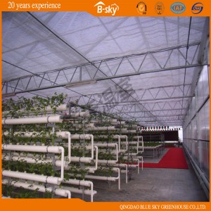 Durable Polycarbonate Sheet Green House for Planting Vegetables