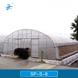 Single Span Agricultural Greenhouse for Vegetable Fruits