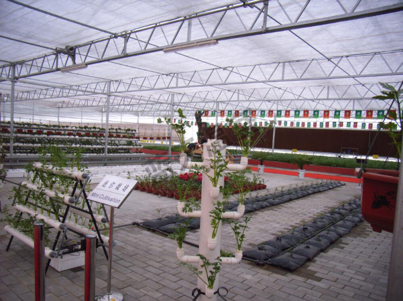 Long Life Span Polycarbonate Sheet Green House