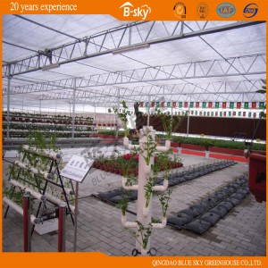 Polycarbonate Board Green House for Planting Vegetables
