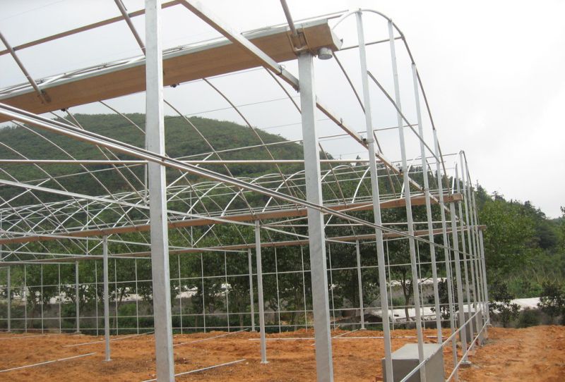 Tunnel Type Greenhouse Generally Chosen by Vegetable Growers