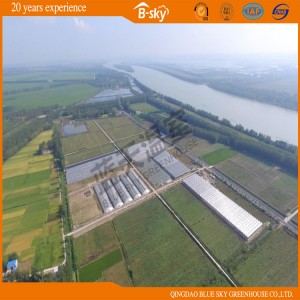 Good Appearance High Quality Glass Greenhouse for Planting