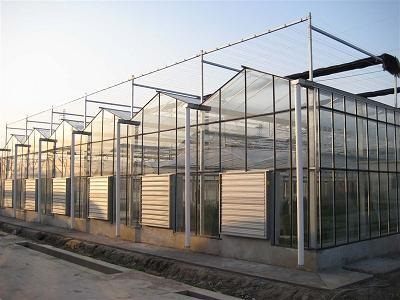 Glass Greenhouse Used for Flower Growing with Steel Structure
