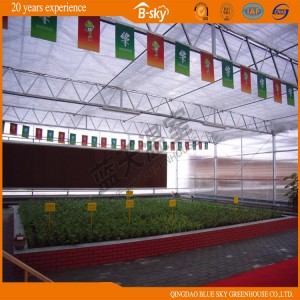 Long Life Span Polycarbonate Sheet Green House