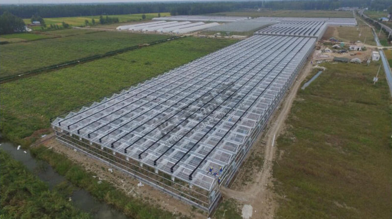 Good Appearance High Quality Glass Greenhouse for Planting