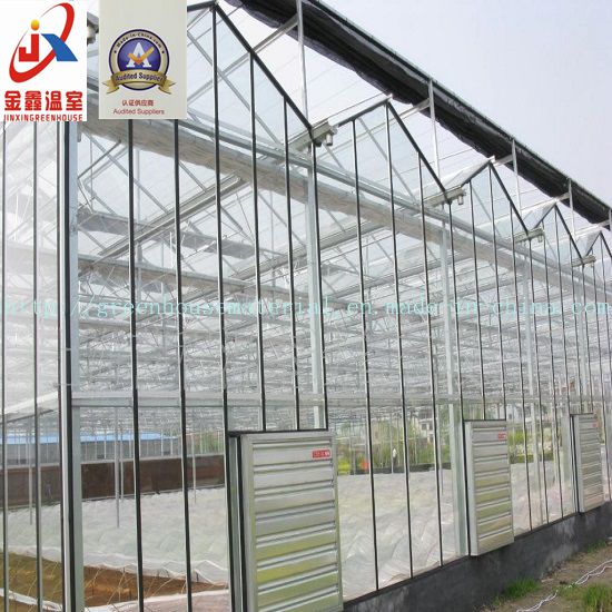 Glass Greenhouse Used for Flower Growing with Steel Structure