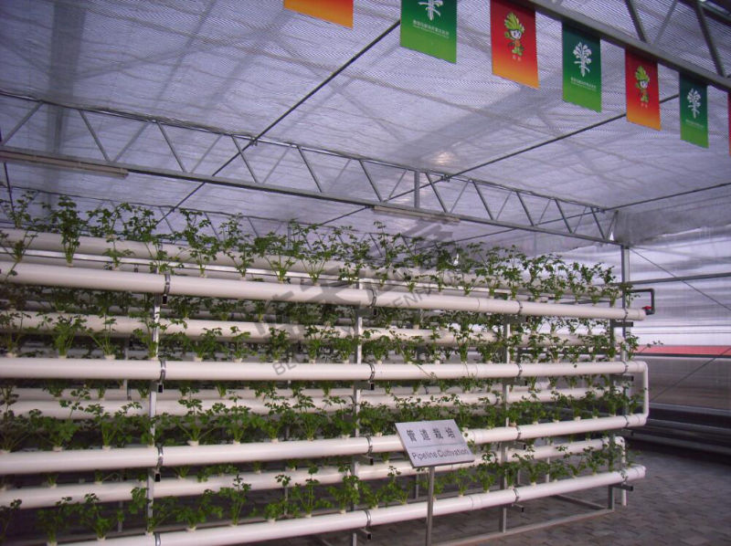 China Supplier Polycarbonate Sheet Green House for Planting Vegetables